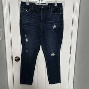 Plus Size Dark Wash Distressed Skinny Jeans